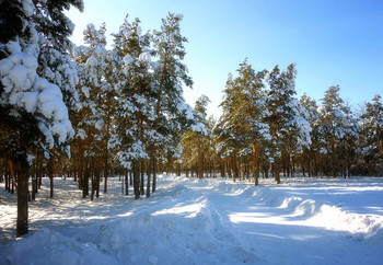 Im Winter Park ... / ***