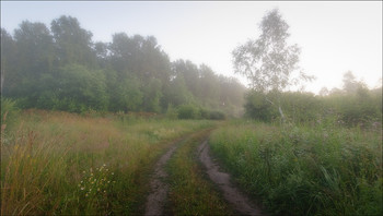 Abendnebel / ***
