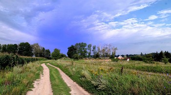 The road in the summer / ***