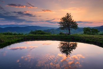 Looking in the mirror / Kamenica