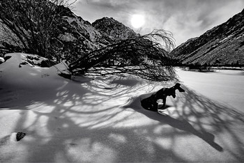 No name / ***