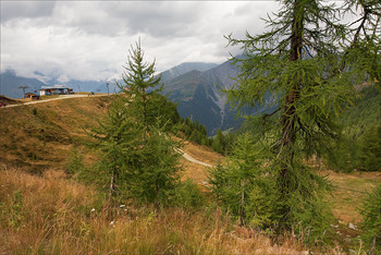 Stirnrunzeln / ***