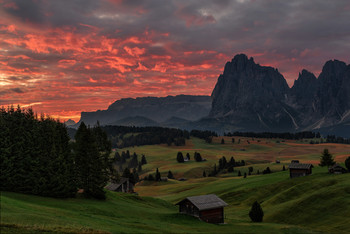 Sunrise on the Sassolungo / The Alpe di Siusi is a Dolomite plateau located in Italy, in South Tyrol, within the territory of the municipality of Castelrotto.
From the alp you can enjoy a 360° panoramic view; from the north in a clockwise direction: the Sass de Putia (2,873 m), the Gruppo delle Odle e del Puez (3,025 m), the Gran Cir, the Gruppo del Sella (3,152 m), the Sassolungo (3.181 m) and Sassopiatto (2,995 m), the Marmolada (3,343 m), the San Martino shovels, the Vajolet towers, the Catinaccio group (2,981 m), with the summit of the Catinaccio d'Antermoia (3,002 m), and the Sciliar (2,450 m).