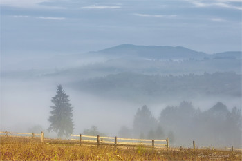 In the Carpathians / ***