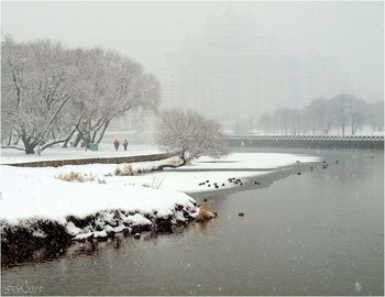 Winter / ***