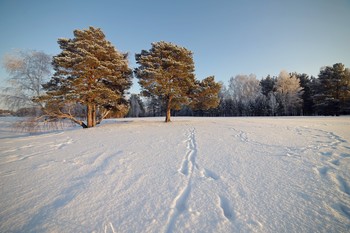 Weather recovered ... / ***