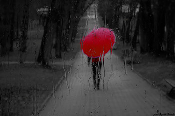 Walk in the rain / Thank you very much for your recommendations