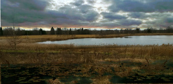 Evening Pond / ***