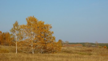 Autumn / ***