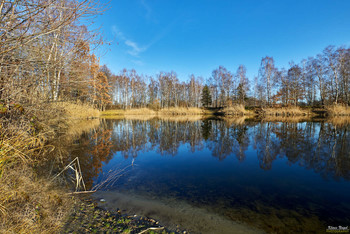 am Teich / Winter am Angelteich