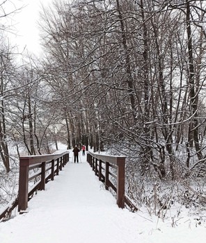 Winter sketches / ***