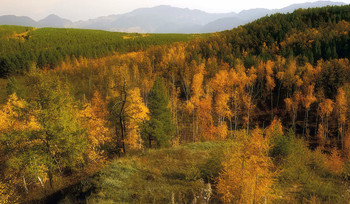 Autumn time... / ***