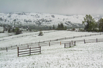 Frühling Schneefall / ***