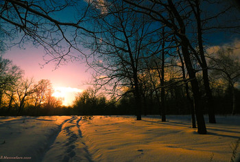 Evening road / ...
