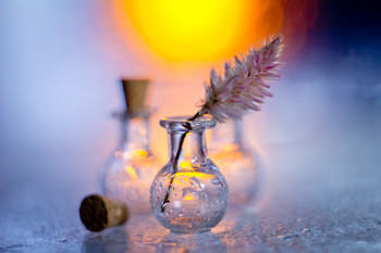 Glass / ***