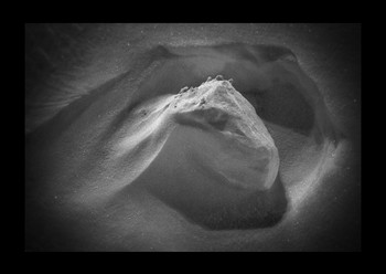 Winter-Porträt / ***