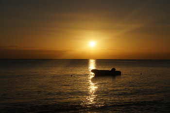 Morgendämmerung / ---------