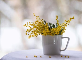 An der Schwelle des Frühlings / ***