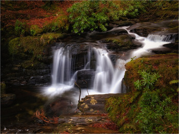 ...Torc Creeks... / ***