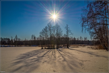 winter / ***