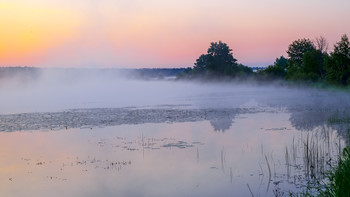 Morgennebel. / ***