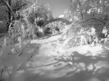 &nbsp; / [img]https://sun9-21.userapi.com/c857236/v857236470/daf48/XpzOHflyK8E.jpg[/img]