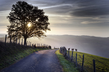 Morning Road / Sunrise in Cantal mountains