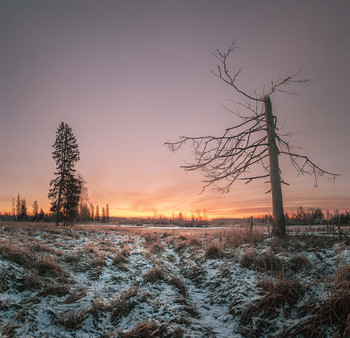 Before the sunrise / ***