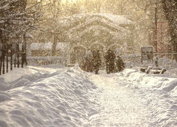 &nbsp; / .....................................