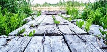 derelict bridge / ***