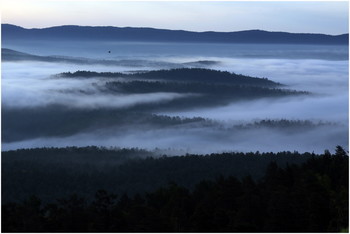 Foggy morning / ***