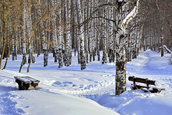 Birchwood / ***