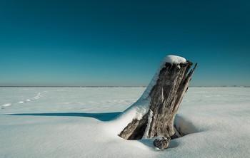 Lake / ***