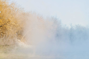 Sunny fog / ***