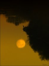 Um den Mond / ------