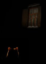 Fenster / ----