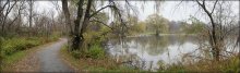 Laub Schlepptau / .....