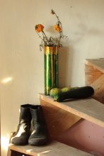 Sommer Still Life / ***