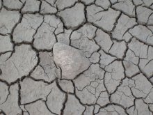 drought / ***