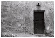 Life ... there is always a way out / ***