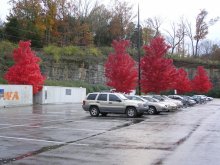 Red fall on a gray background / ***