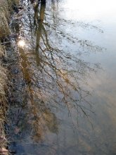 ein wenig Sonne in kaltem Wasser ... / ***