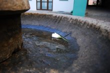 Brunnen / ***
