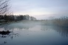 Foggy Morning / ***