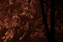 Warm Winter / ***