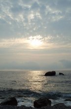 Milky morning / ***