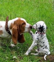 &quot;Ein Kuss?&quot; / :) :)