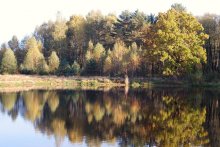 Autumn Landscape / ***