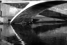 On reflection / ....