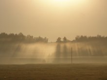 Morning / 3254